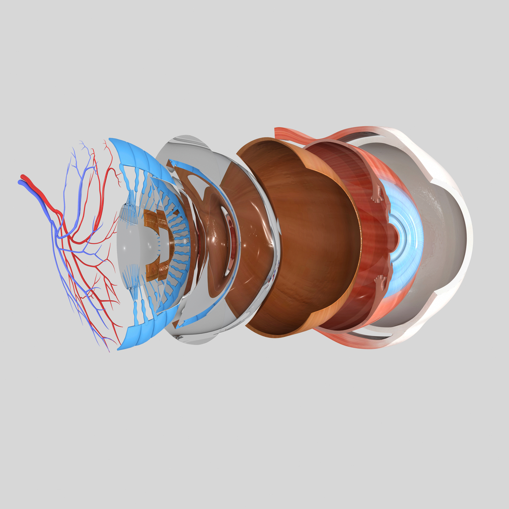 Retinal Detachment Patients Found to Experience Changes in